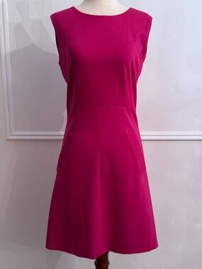 Diane von Furstenberg Pink Dhali Fit-and-Flare Dress Sleeveless NWT Sz 4